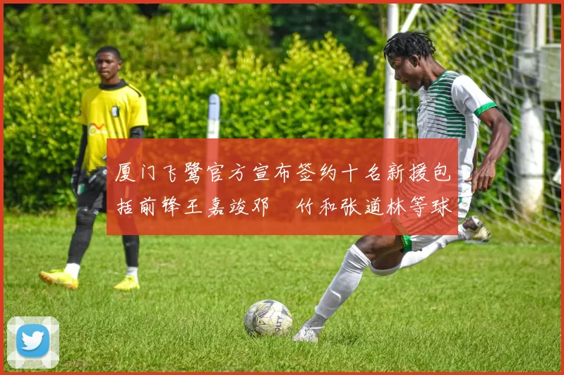 厦门飞鹭官方宣布签约十名新援包括前锋王嘉竣邓棽竹和张道林等球员