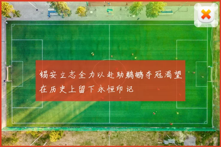 锡安立志全力以赴助鹈鹕夺冠渴望在历史上留下永恒印记