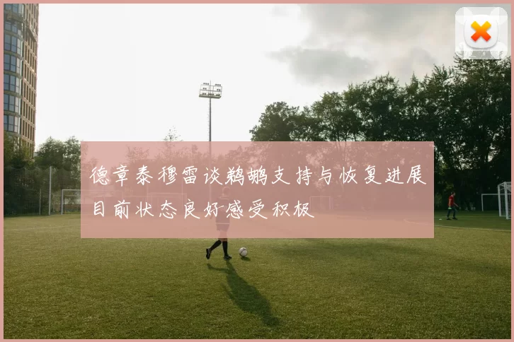 德章泰穆雷谈鹈鹕支持与恢复进展目前状态良好感受积极