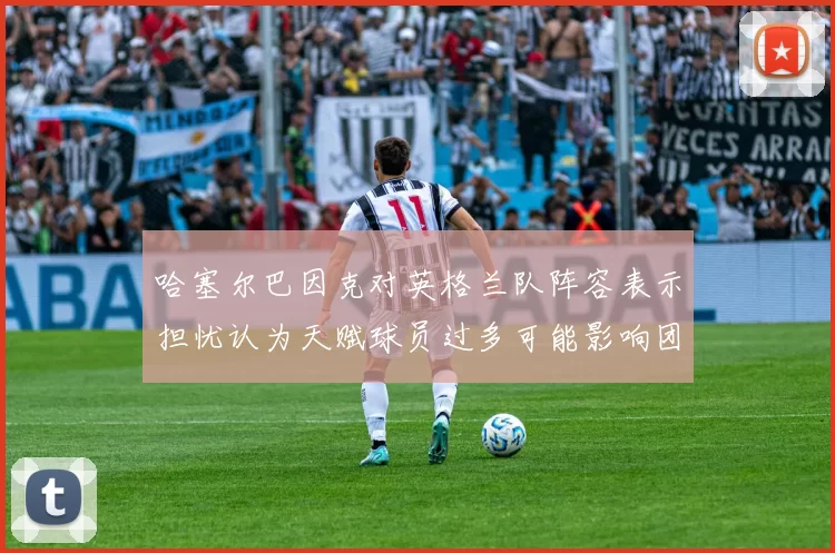 哈塞尔巴因克对英格兰队阵容表示担忧认为天赋球员过多可能影响团队合作