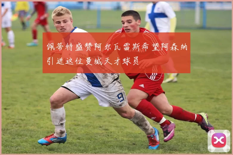 佩蒂特盛赞阿尔瓦雷斯希望阿森纳引进这位曼城天才球员